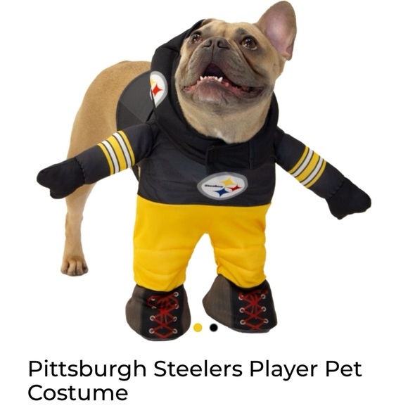 NFL Other - Pittsburgh Steelers Player Pet Costume Sz Small